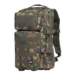 Batoh Assault Small Pentagon 35 l